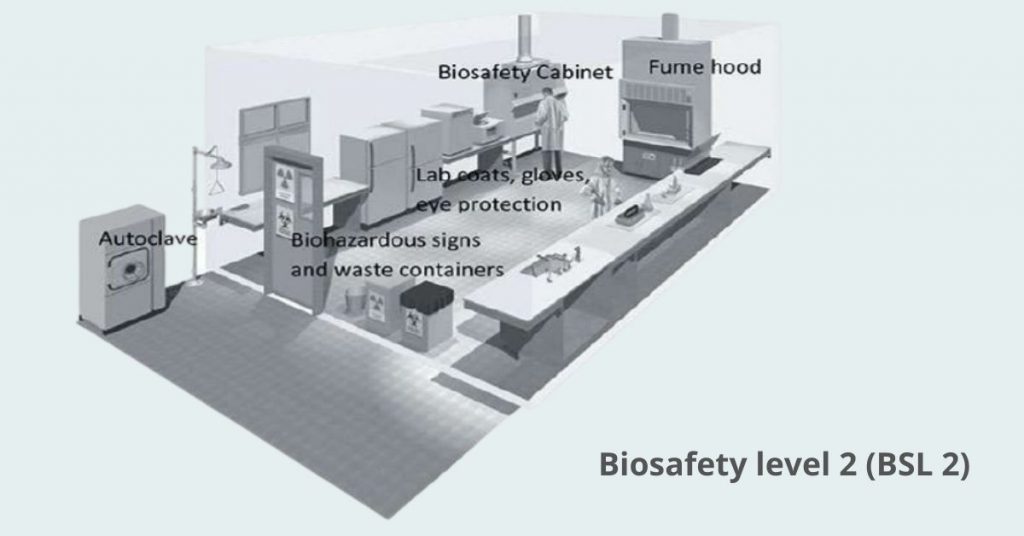 Biosafety levels 2