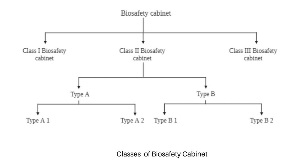 Classes of Biosafety Cabinet