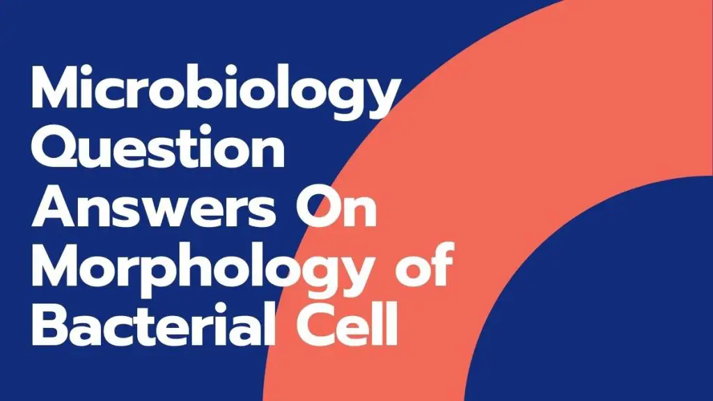 Microbiology Question Answers On Morphology of Bacterial Cell