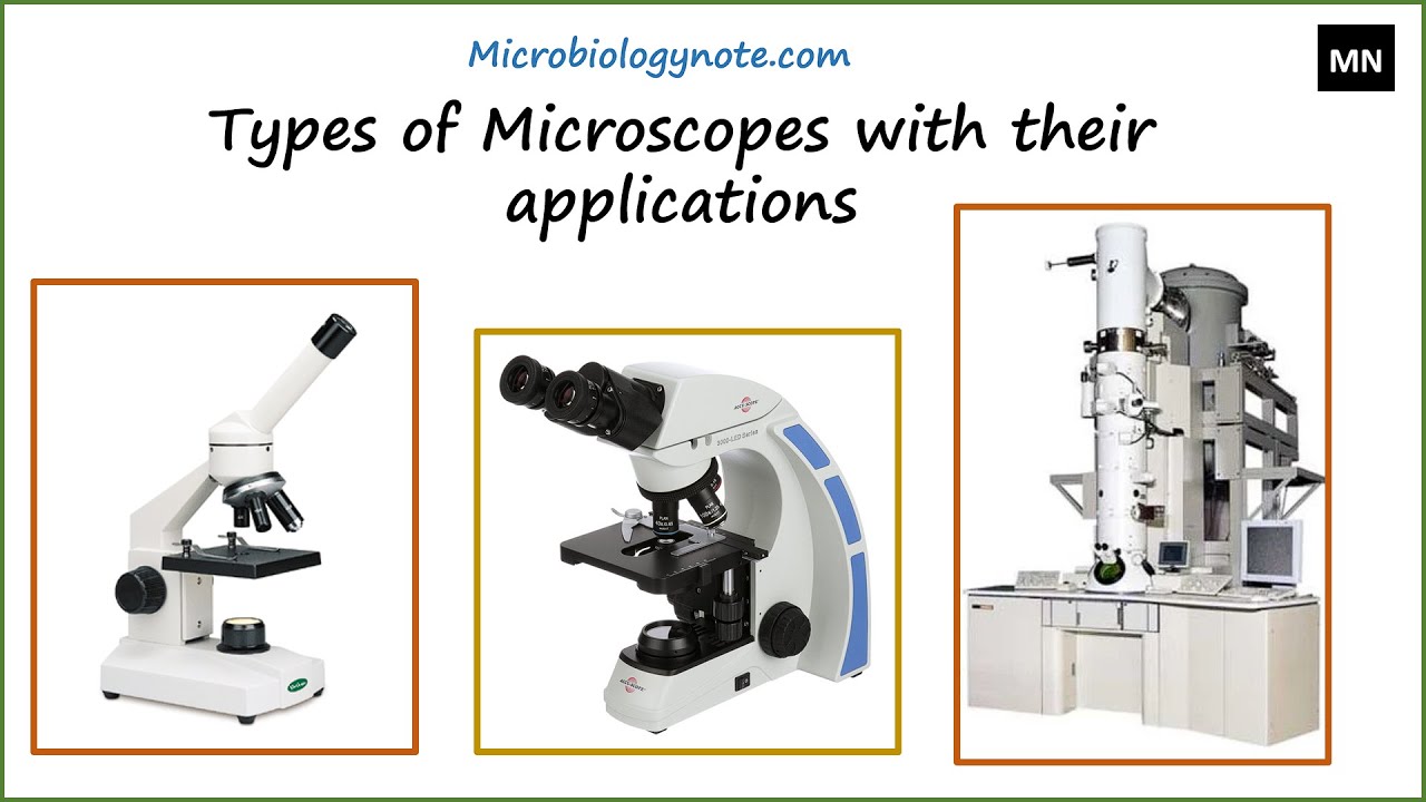 Parts of a Microscope with Their Functions  Microbe Online