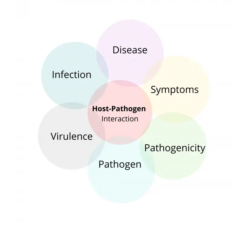 Host-Pathogen Interaction