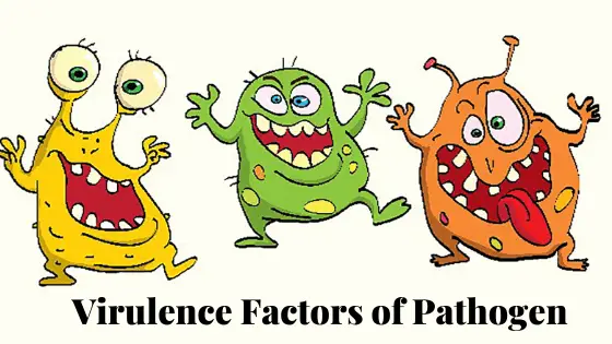 virulence factor of pathogen