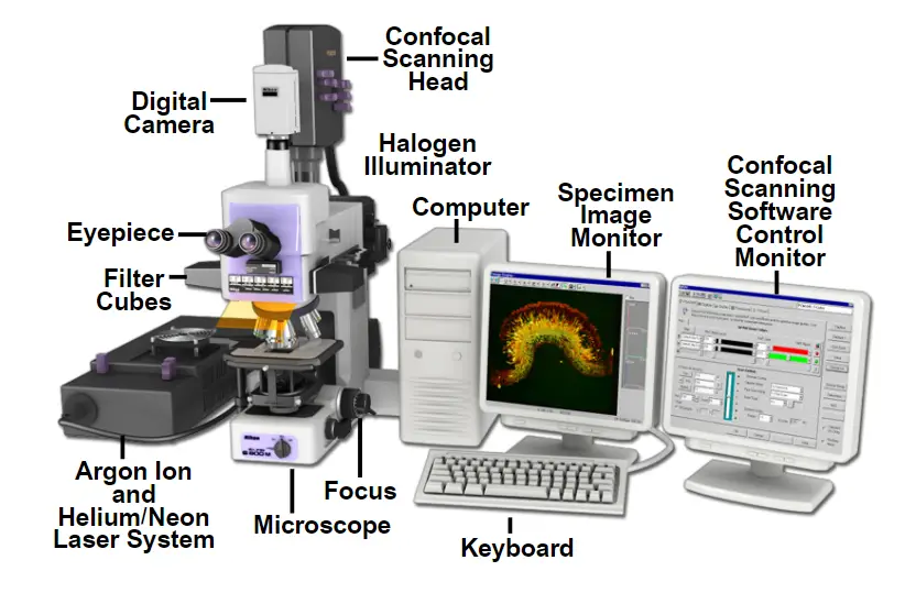 Nikon Laser Scanning Confocal Microscope Configuration