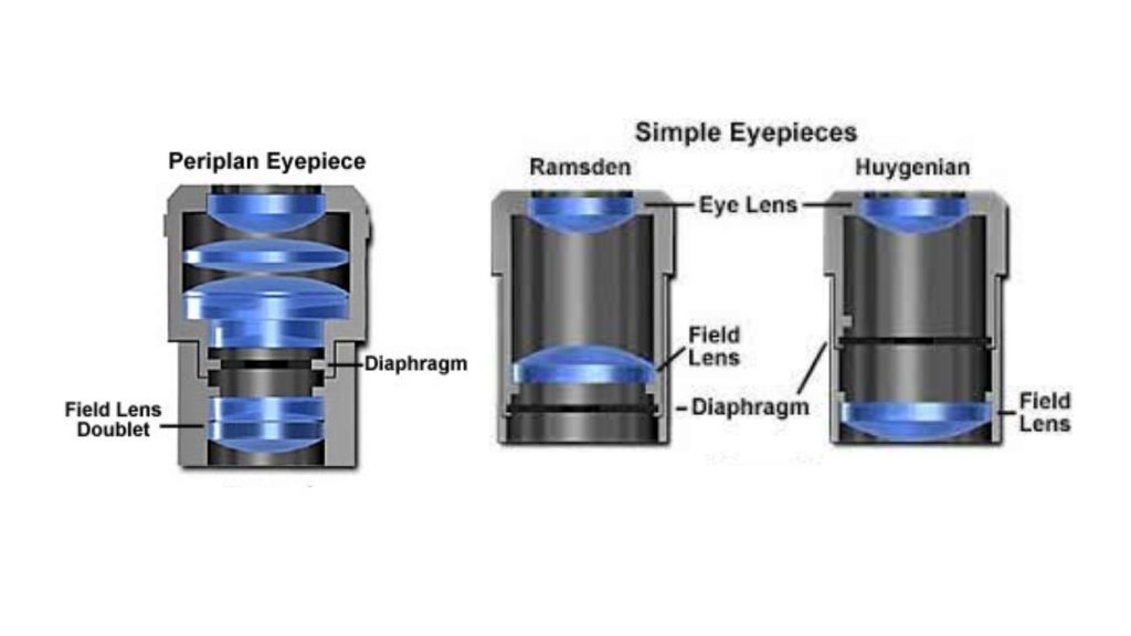 Compound Microscope - Eyepiece