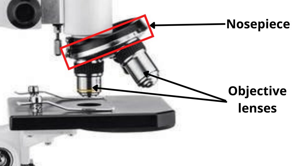 diagram of parts of a microscope