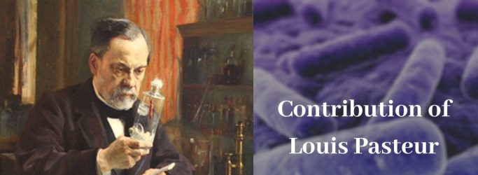 Contribution of Louis Pasteur