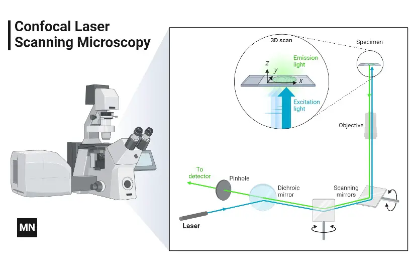 Principle of Confocal Microscope