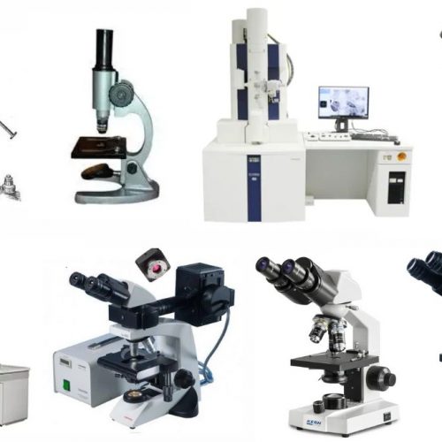 Compound Microscope Parts, Diagram Definition, Application, Working ...