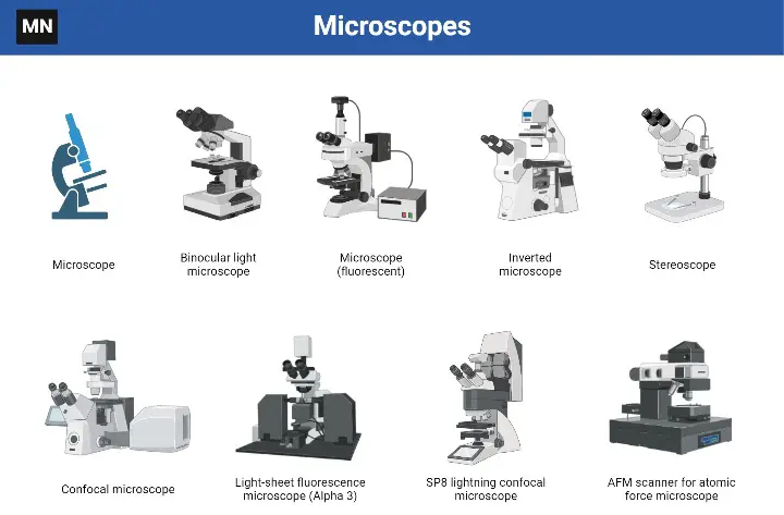 diagram microscope