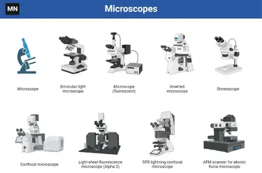 summer See through Hobart Diferite tipuri de microscoape cu definiții, principii, utilizări, diagrame  etichetate
