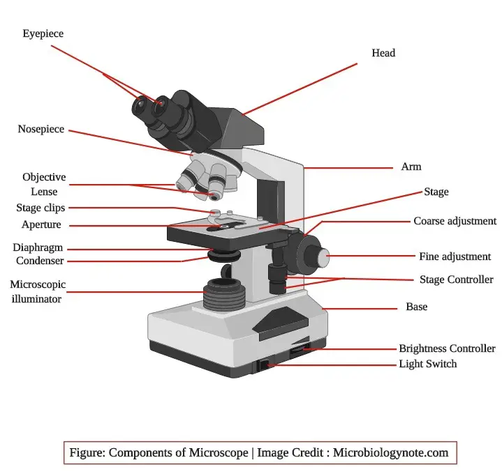 labeled parts of a microscope