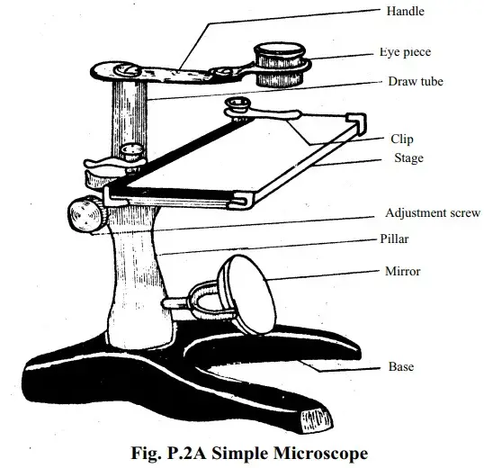 simple microscope diagram