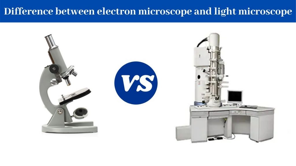 Difference Between Light Microscope and Electron Microscope