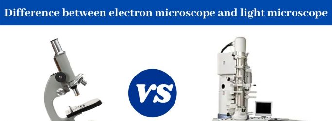 Difference Between Light Microscope and Electron Microscope