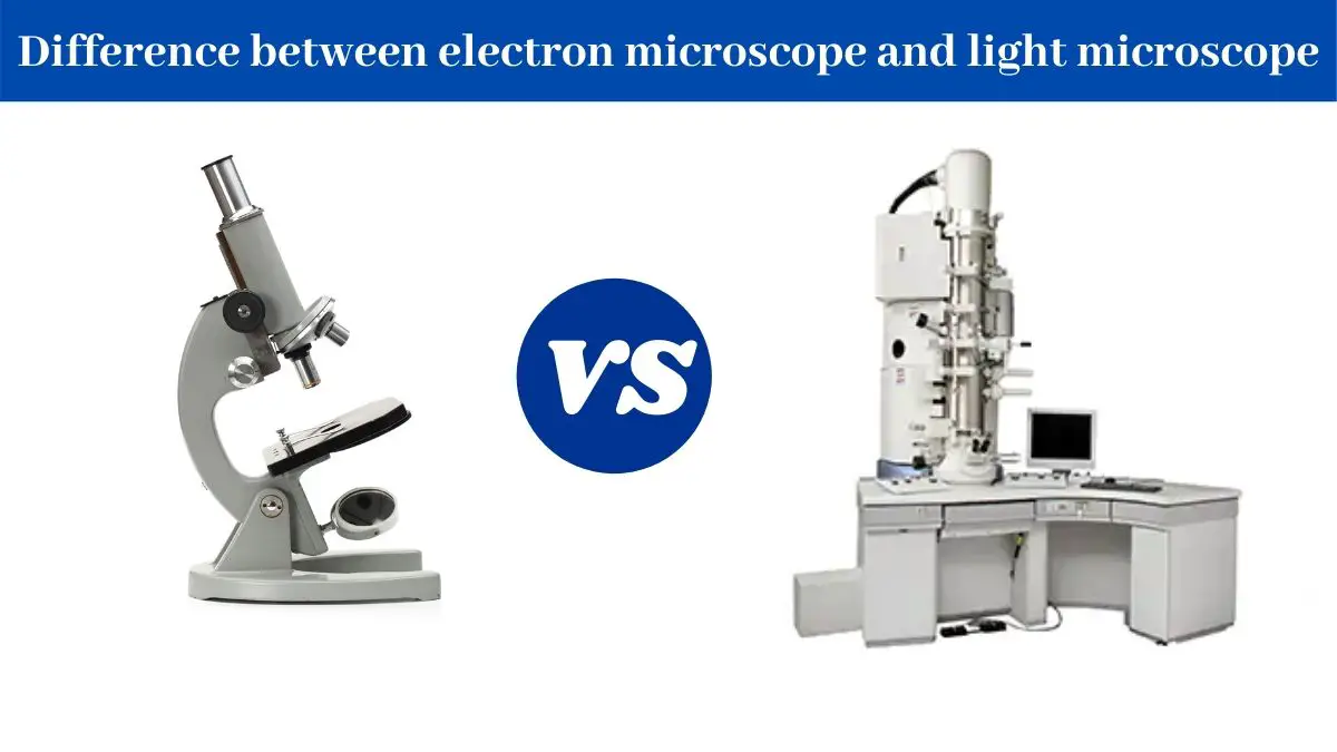 electron microscope differ from light microscopes in that