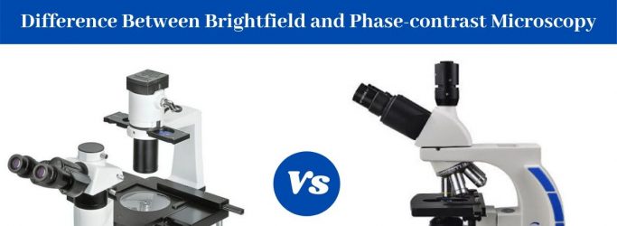 Difference Between Brightfield and Phase-contrast Microscope