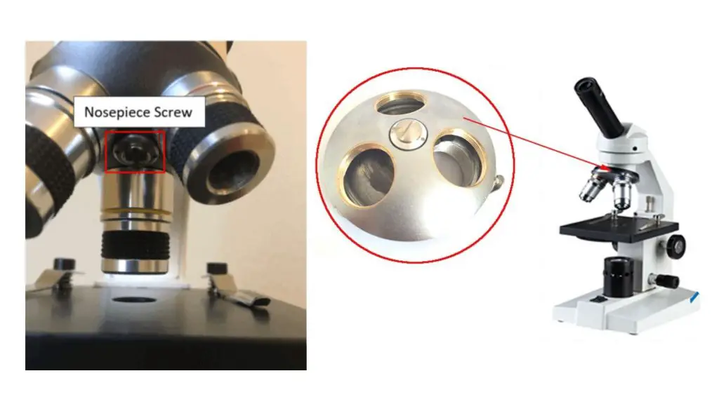 compound microscope - Nosepiece