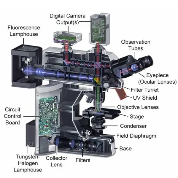 Parts of Fluorescence Microscope