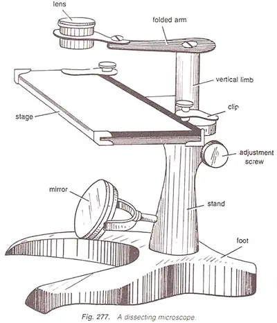 dissecting microscope labeled