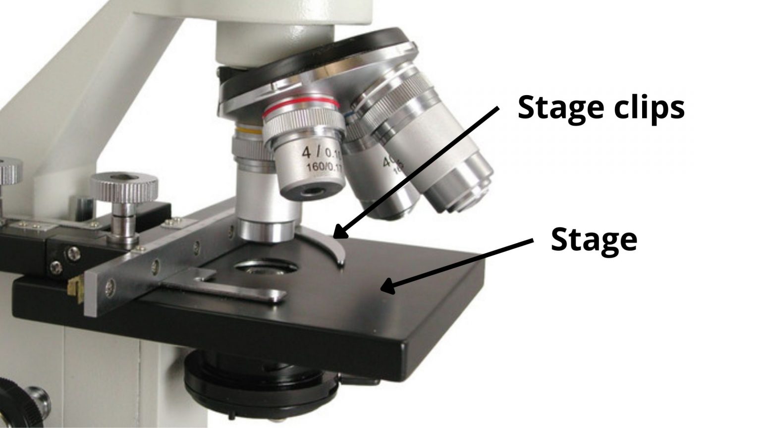 Parts Of A Microscope And Their Functions