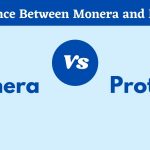Difference Between Monera and Protista