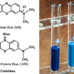 Methylene Blue Reduction Test