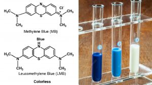 Methylene Blue Reduction Test
