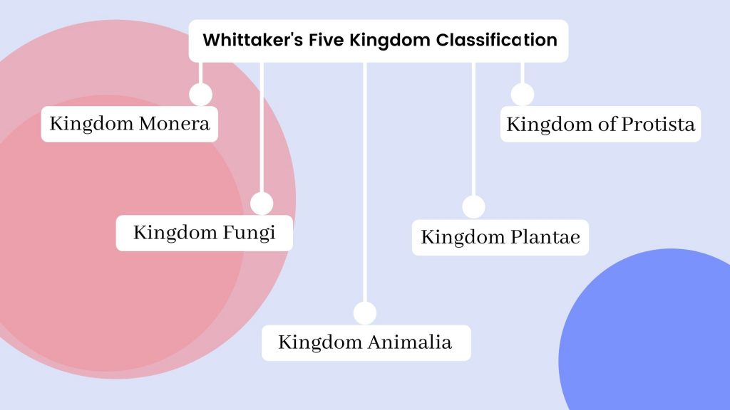 Whittaker's Five Kingdom Classification - Five Kingdom Classification Chart