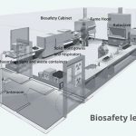 Biosafety levels 3