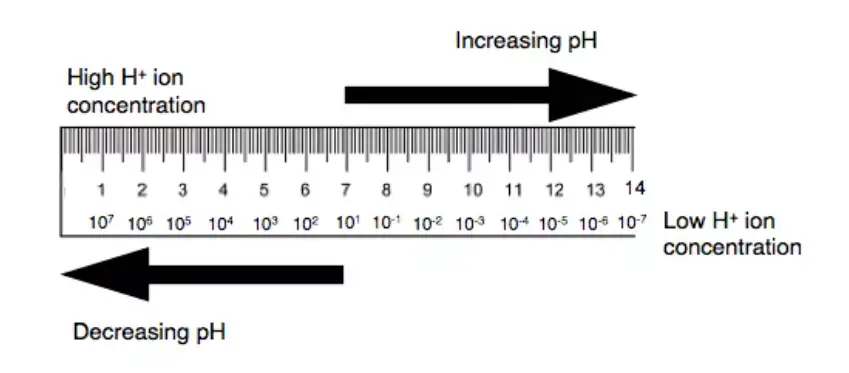 pH meter