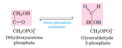 Isomerization of Dihydroxyacetone Phosphate
