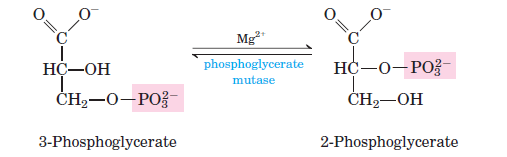 Inter-Molecular Shift of Phosphate Group