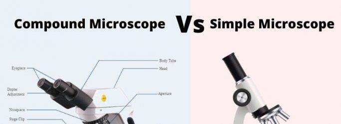 Difference Between Compound Microscope and Simple Microscope.