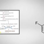 5-Fluorocytosine (5-FC) Solution Preparation
