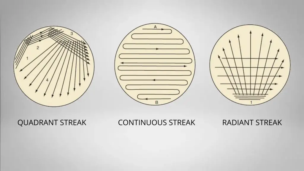 Different Methods of Streak Plate