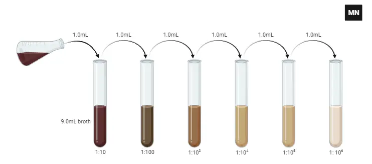 Procedure of Serial Dilution