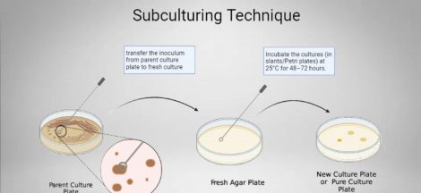 advantages and disadvantages of serial dilution method