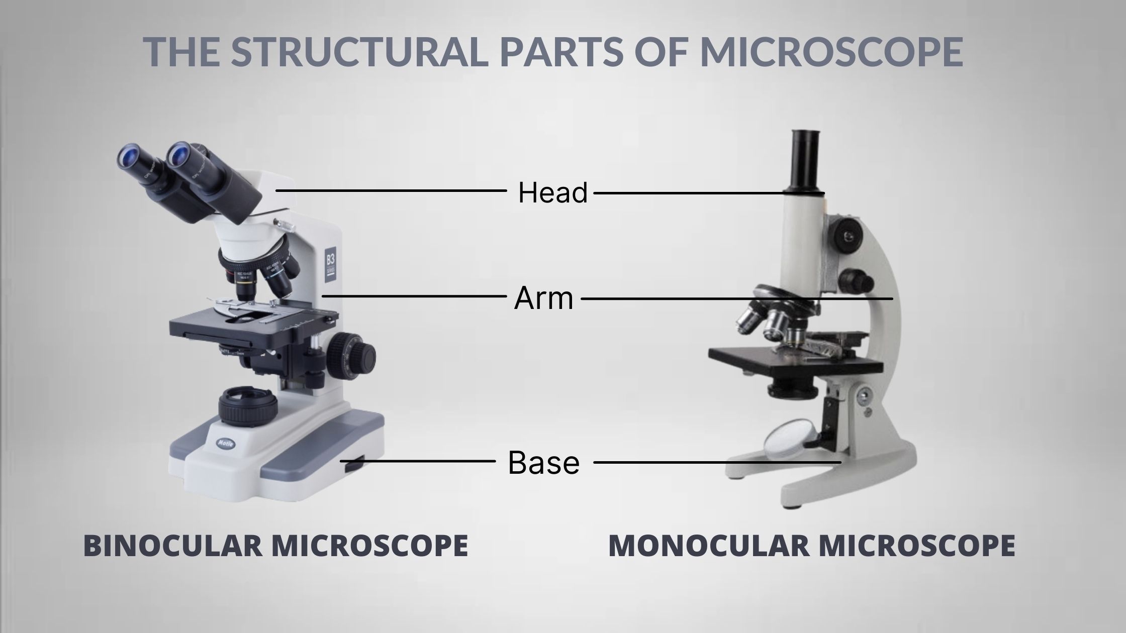 The structural parts of Microscope