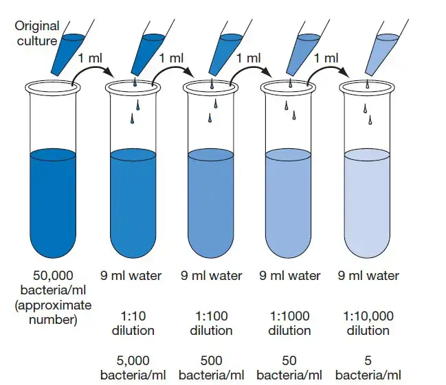 Serial Dilution Method