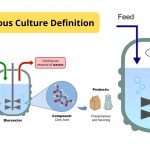 Continuous Culture Definition, Advantage, Application, Systems