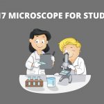 17 Best Microscope for Students