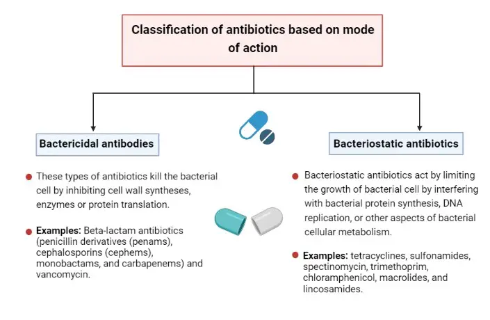 Classification of antibiotics based on mode of action