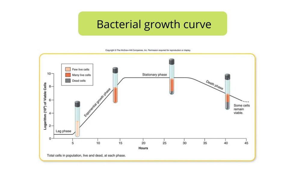 Bacterial growth curve and different Phases