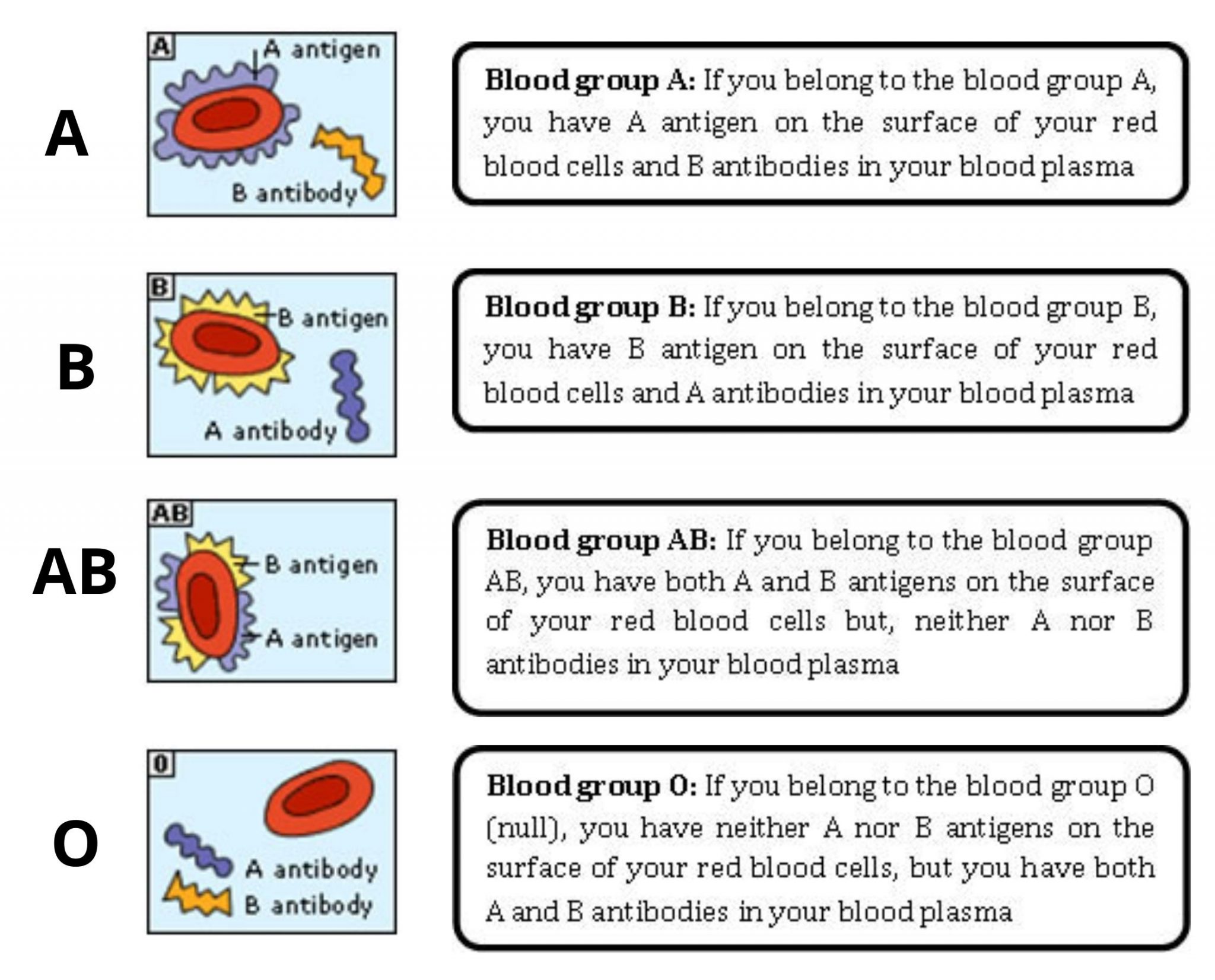 blood group case study