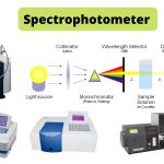 Spectrophotometer Principle, Uses, Components.