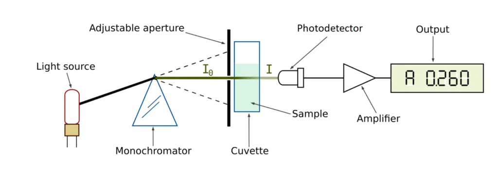 Basic components of a spectrophotometer