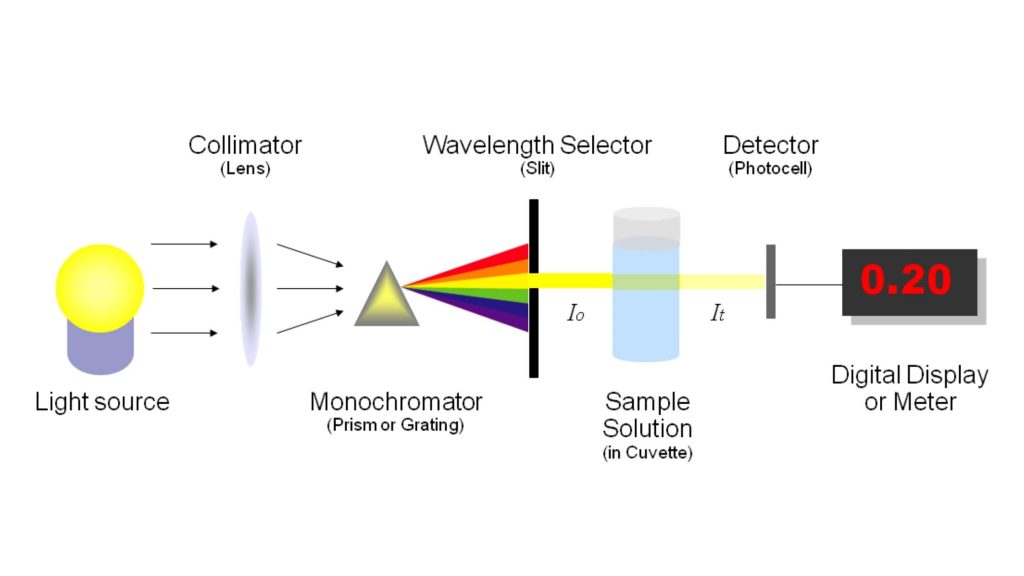 Spectrophotometer Principle