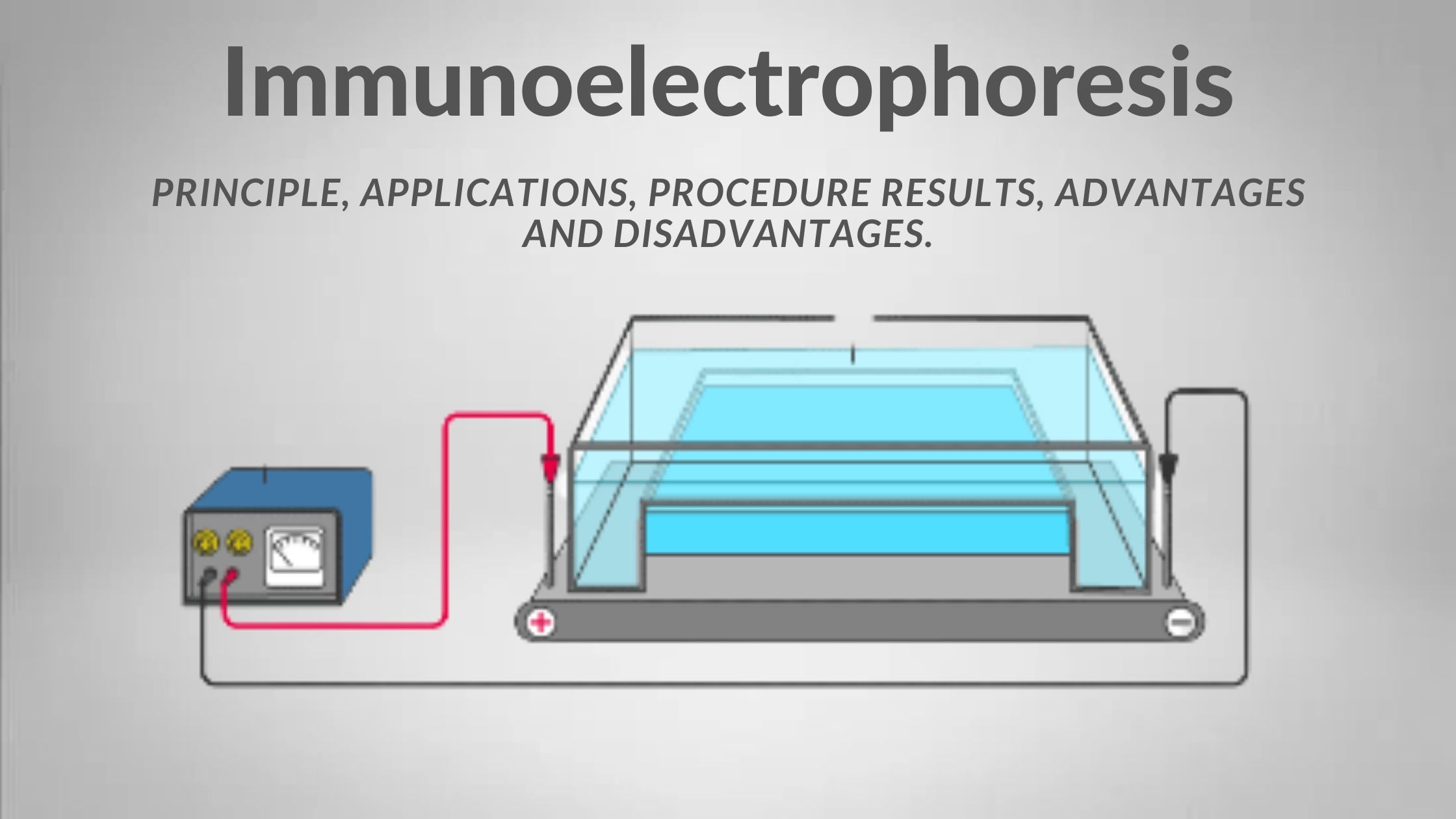 Immunoelectrophoresis test Principle, Applications, Procedure Results, Advantages and Disadvantages.