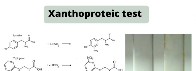 Xanthoproteic test Principle, Procedure, Result, Application