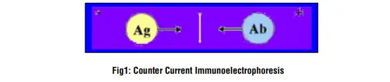 Principle of Counter Current Immunoelectrophoresis